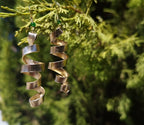 Gold spiral earrings