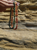 Shell necklace